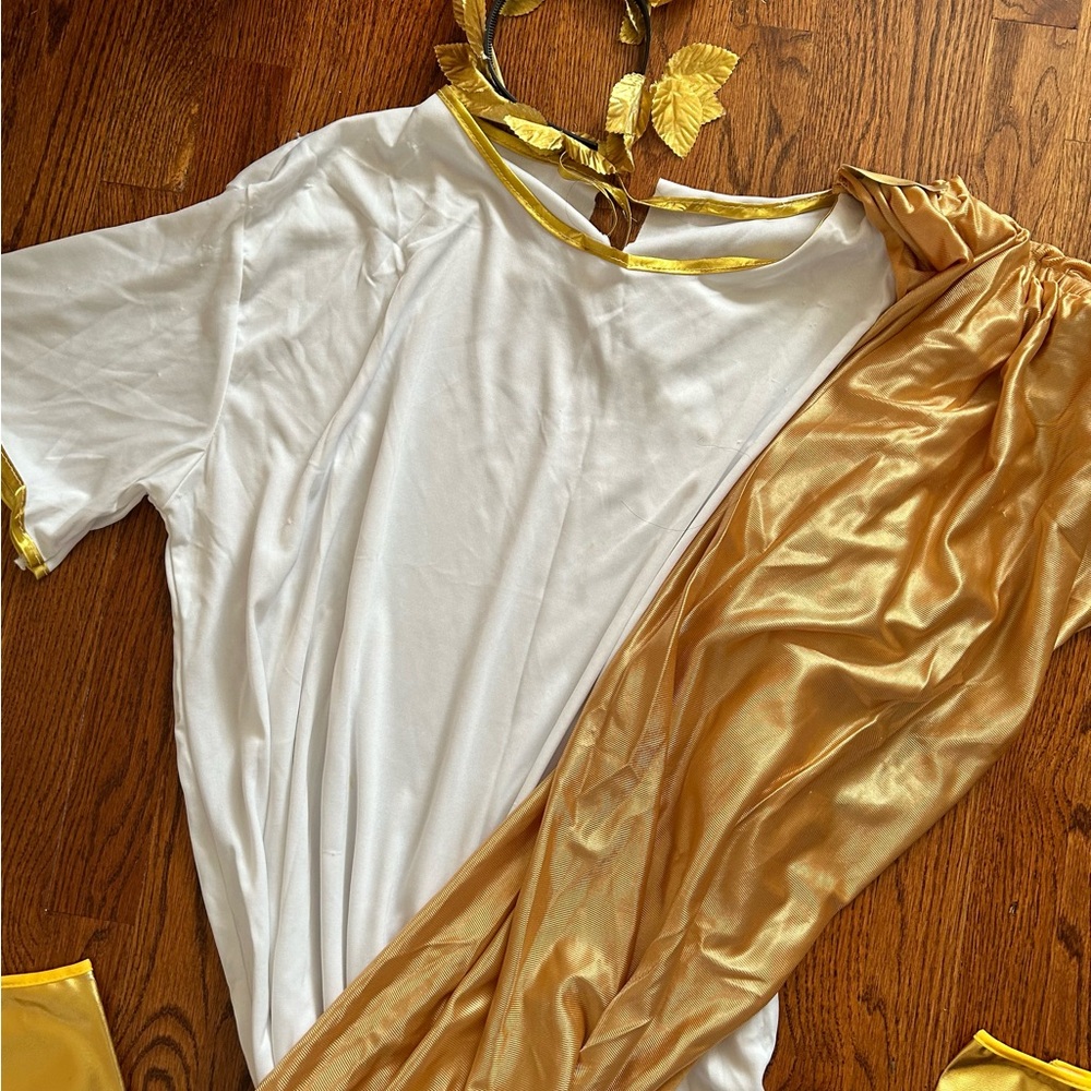Men’s Caesar Costume - image 4